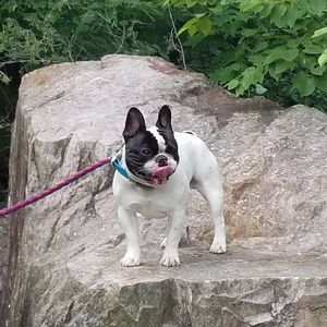 Meet your Posher, Wendy